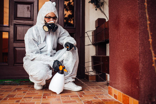 Attic and Crawl Space Rodent Treatment in Dewey-Humboldt